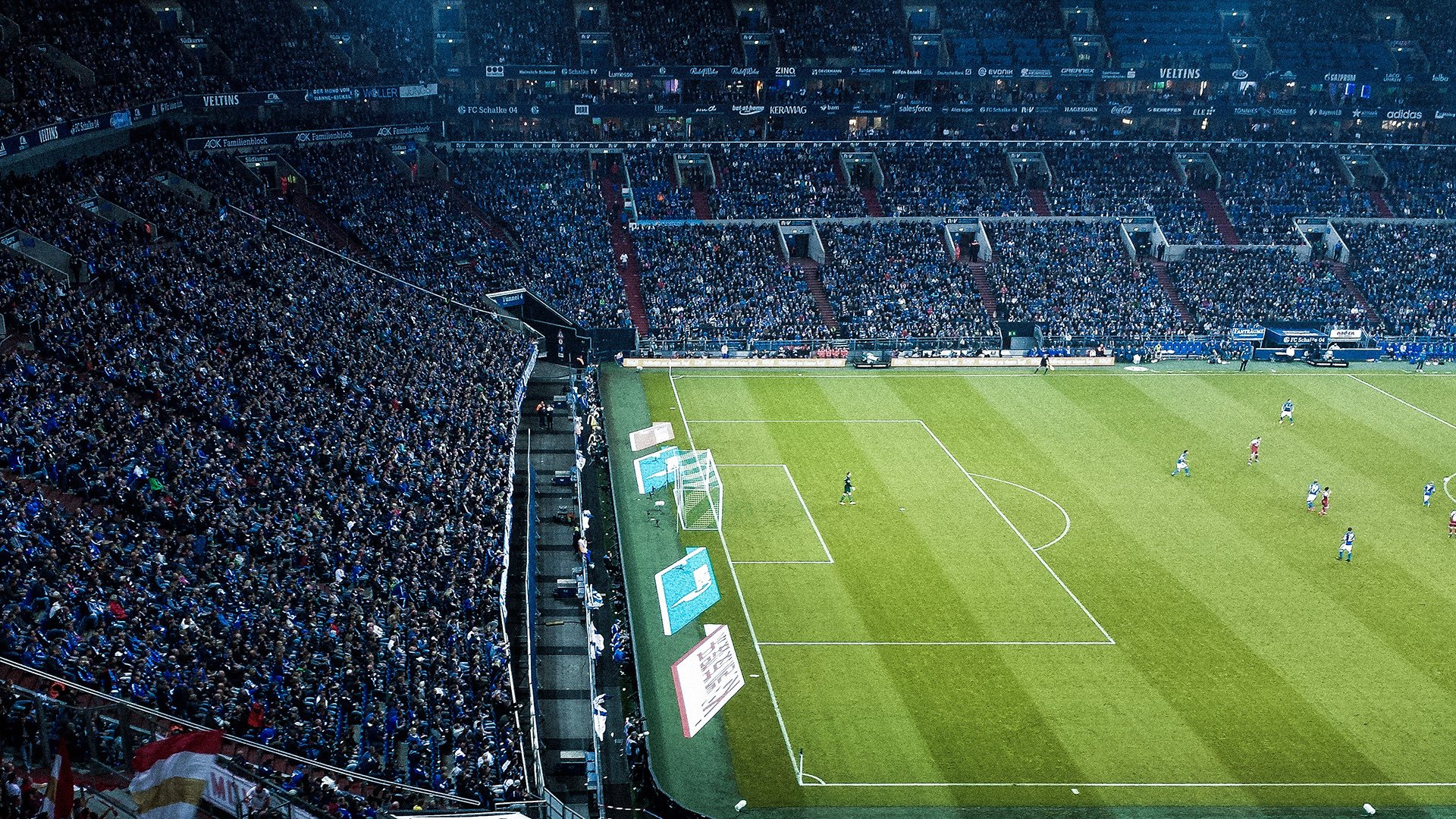 体育赛事粉丝文化发展